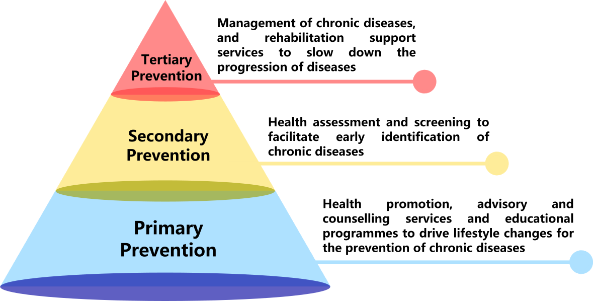 What is Primary Healthcare?